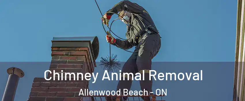  Chimney Animal Removal Allenwood Beach - ON