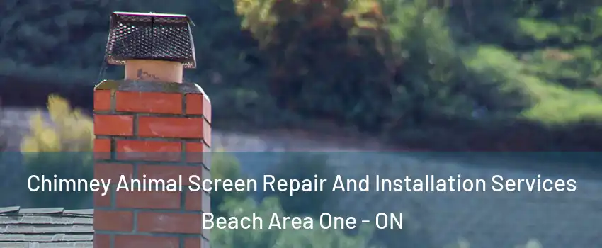  Chimney Animal Screen Repair And Installation Services Beach Area One - ON