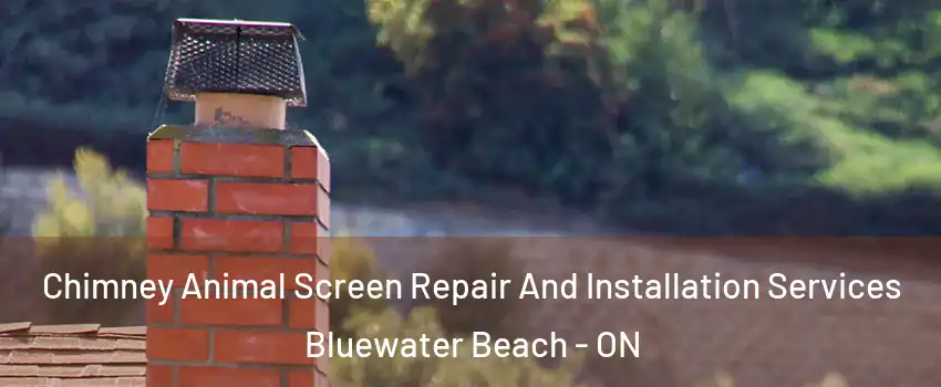  Chimney Animal Screen Repair And Installation Services Bluewater Beach - ON