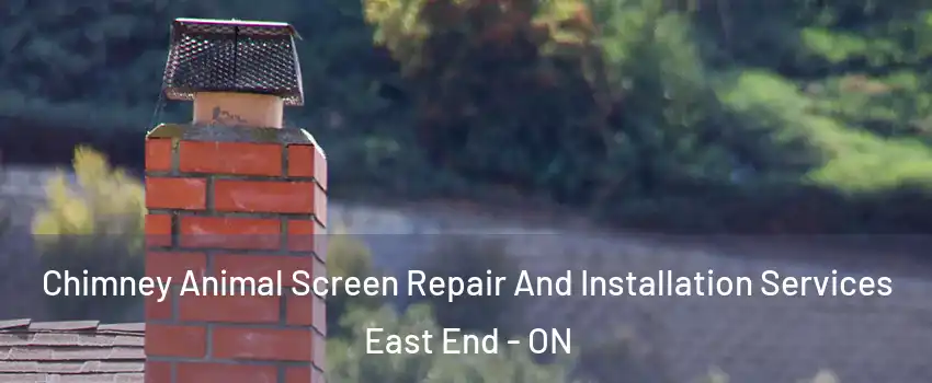  Chimney Animal Screen Repair And Installation Services East End - ON