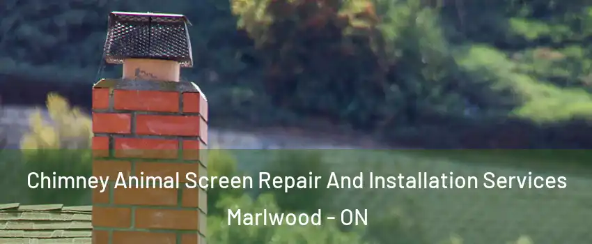  Chimney Animal Screen Repair And Installation Services Marlwood - ON