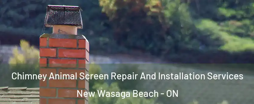  Chimney Animal Screen Repair And Installation Services New Wasaga Beach - ON
