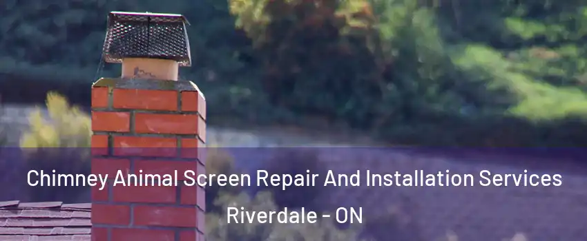  Chimney Animal Screen Repair And Installation Services Riverdale - ON