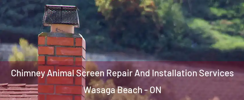  Chimney Animal Screen Repair And Installation Services Wasaga Beach - ON