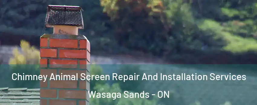  Chimney Animal Screen Repair And Installation Services Wasaga Sands - ON