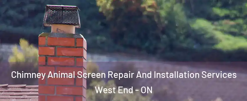  Chimney Animal Screen Repair And Installation Services West End - ON
