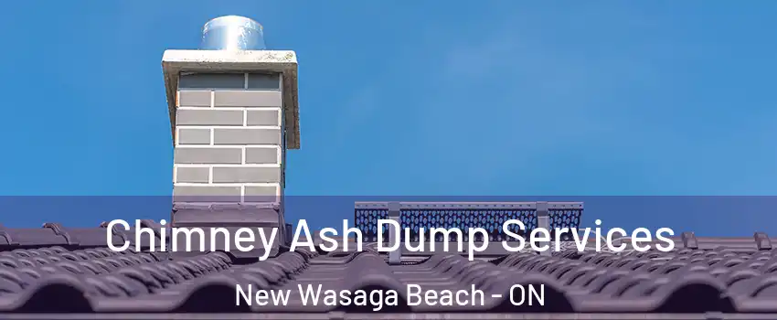  Chimney Ash Dump Services New Wasaga Beach - ON