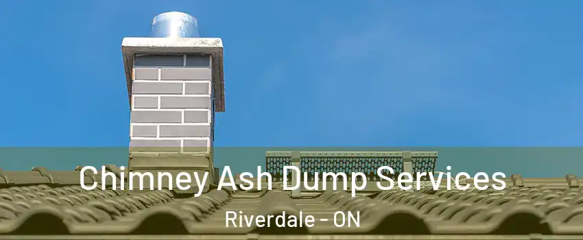  Chimney Ash Dump Services Riverdale - ON