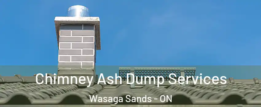  Chimney Ash Dump Services Wasaga Sands - ON