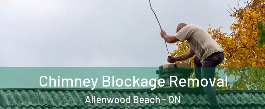  Chimney Blockage Removal Allenwood Beach - ON