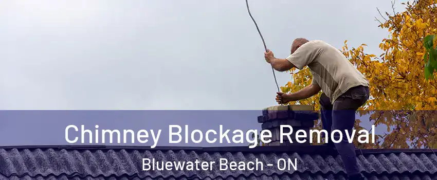  Chimney Blockage Removal Bluewater Beach - ON