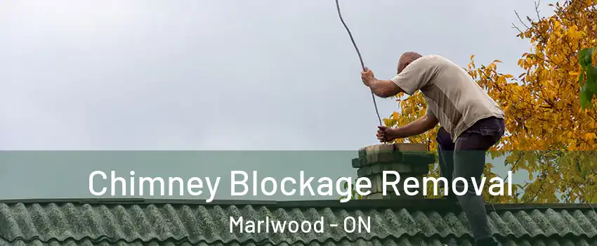  Chimney Blockage Removal Marlwood - ON