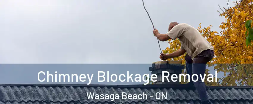  Chimney Blockage Removal Wasaga Beach - ON