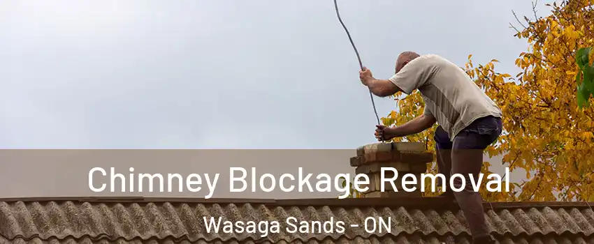  Chimney Blockage Removal Wasaga Sands - ON