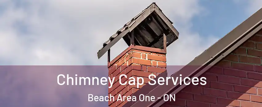 Chimney Cap Services Beach Area One - ON