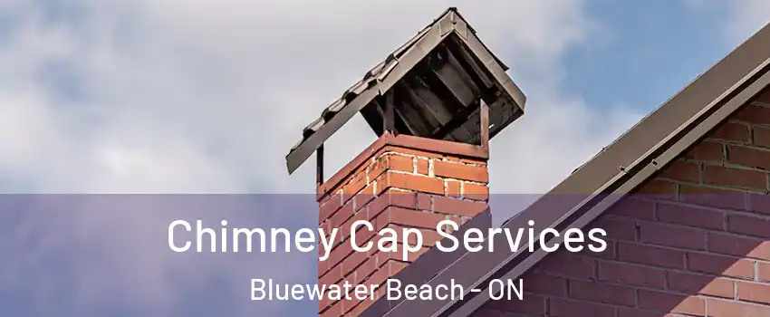  Chimney Cap Services Bluewater Beach - ON