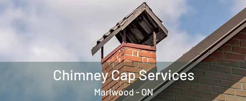 Chimney Cap Services Marlwood - ON