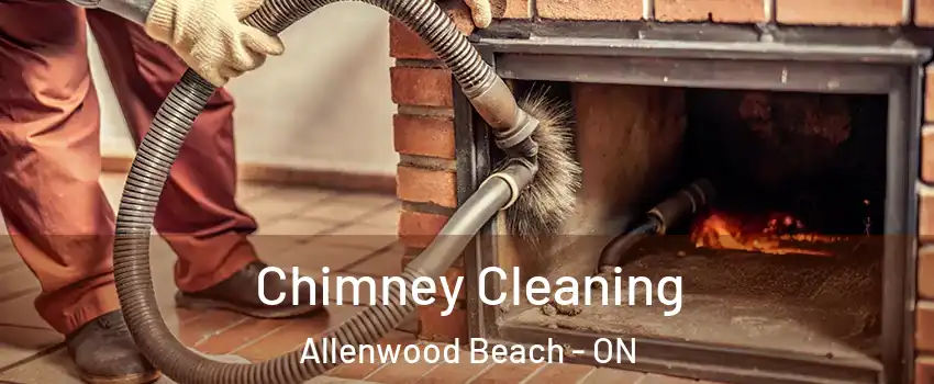  Chimney Cleaning Allenwood Beach - ON
