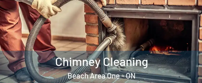  Chimney Cleaning Beach Area One - ON