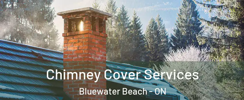  Chimney Cover Services Bluewater Beach - ON