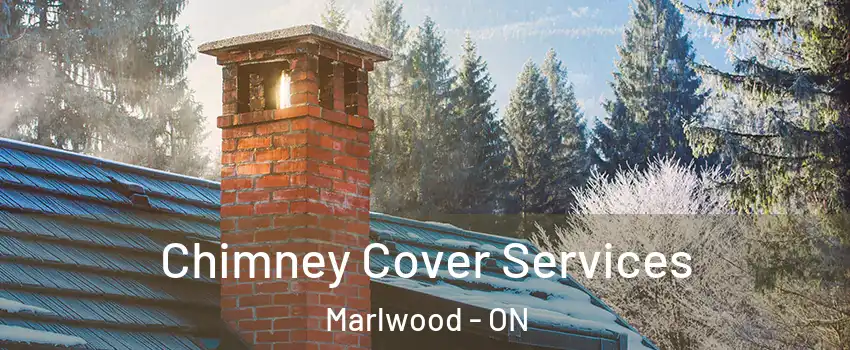  Chimney Cover Services Marlwood - ON