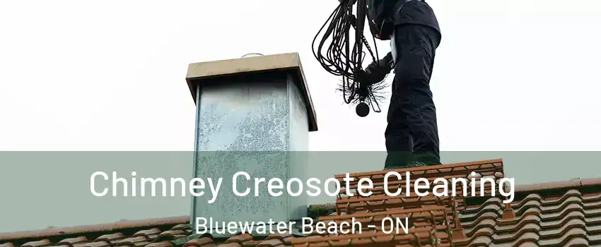  Chimney Creosote Cleaning Bluewater Beach - ON