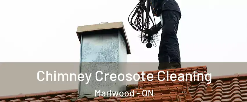  Chimney Creosote Cleaning Marlwood - ON