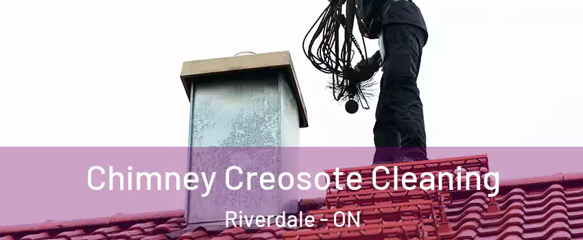 Chimney Creosote Cleaning Riverdale - ON