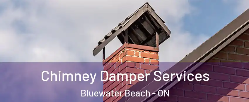  Chimney Damper Services Bluewater Beach - ON