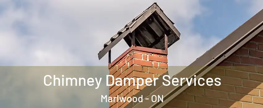  Chimney Damper Services Marlwood - ON