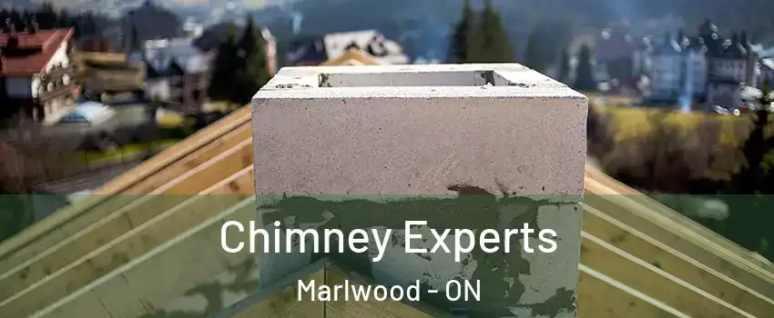  Chimney Experts Marlwood - ON