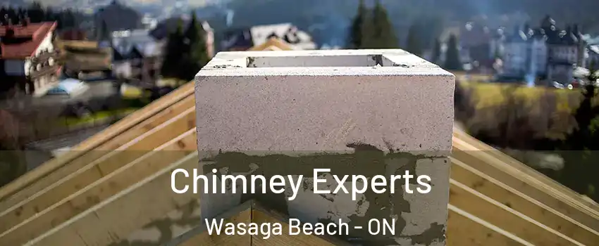  Chimney Experts Wasaga Beach - ON