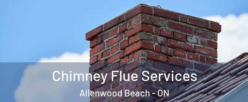  Chimney Flue Services Allenwood Beach - ON