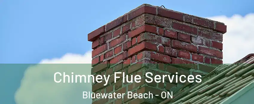  Chimney Flue Services Bluewater Beach - ON