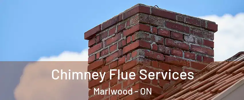  Chimney Flue Services Marlwood - ON