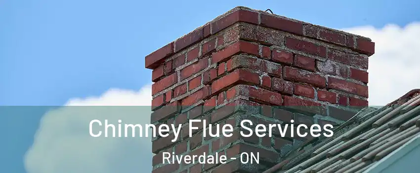  Chimney Flue Services Riverdale - ON