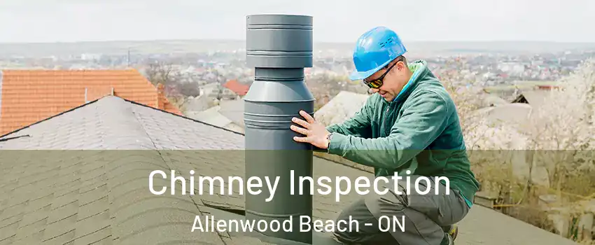  Chimney Inspection Allenwood Beach - ON