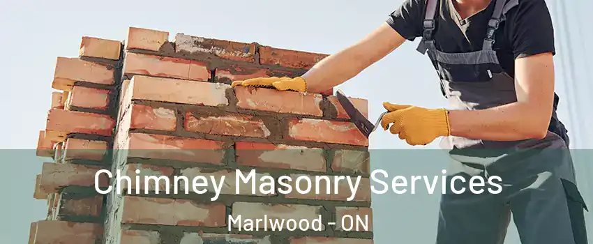  Chimney Masonry Services Marlwood - ON
