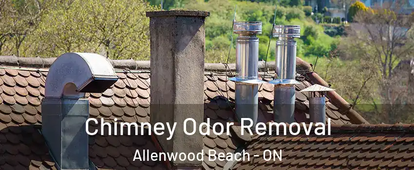  Chimney Odor Removal Allenwood Beach - ON