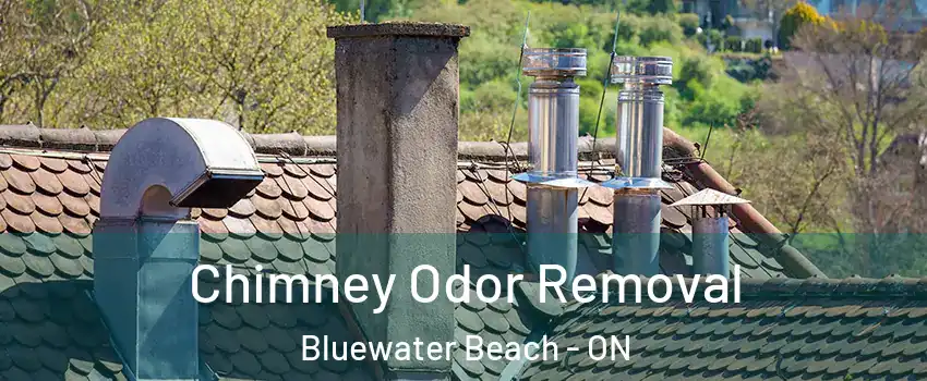  Chimney Odor Removal Bluewater Beach - ON