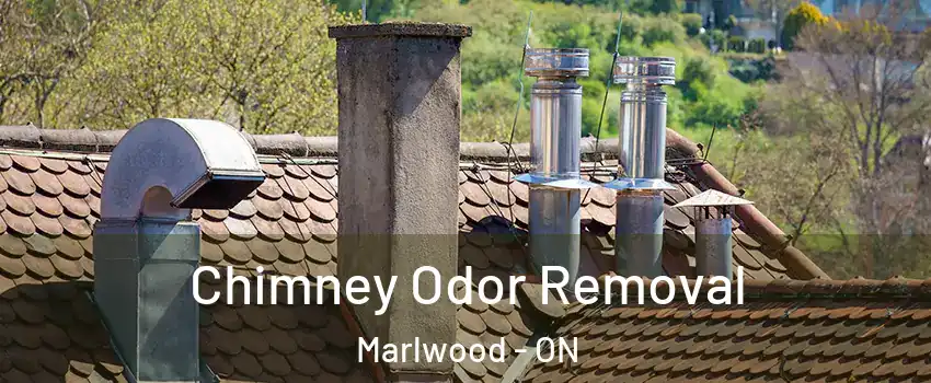  Chimney Odor Removal Marlwood - ON
