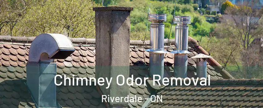  Chimney Odor Removal Riverdale - ON