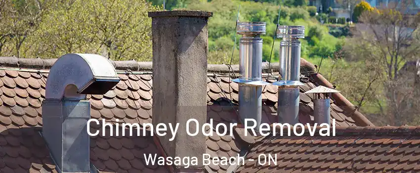  Chimney Odor Removal Wasaga Beach - ON