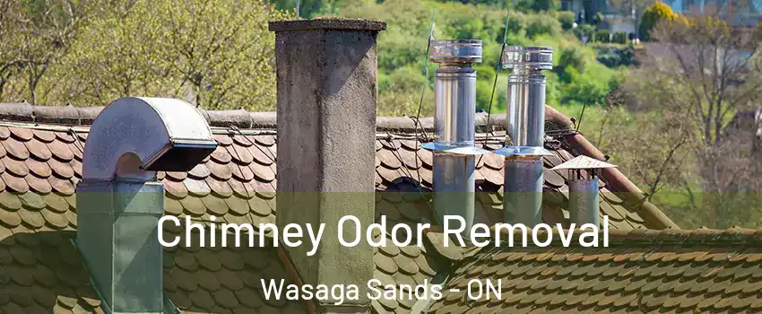  Chimney Odor Removal Wasaga Sands - ON