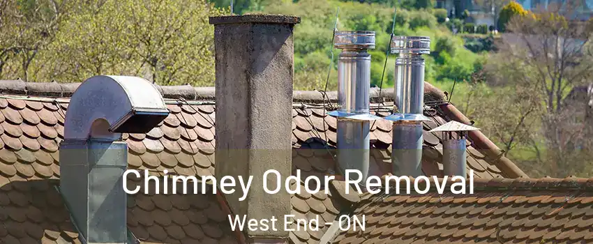  Chimney Odor Removal West End - ON