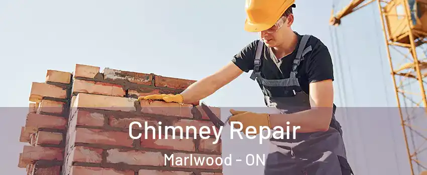  Chimney Repair Marlwood - ON