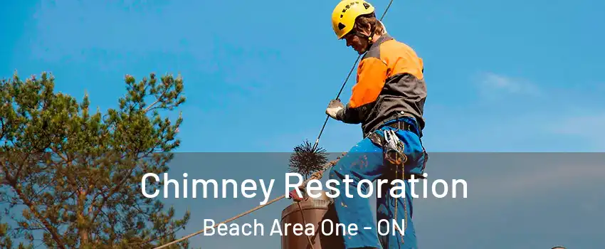 Chimney Restoration Beach Area One - ON