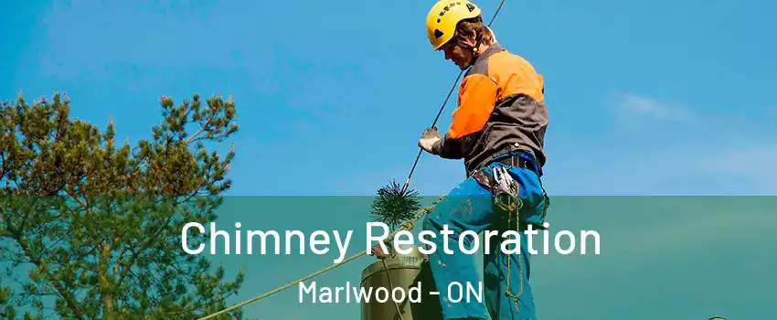  Chimney Restoration Marlwood - ON
