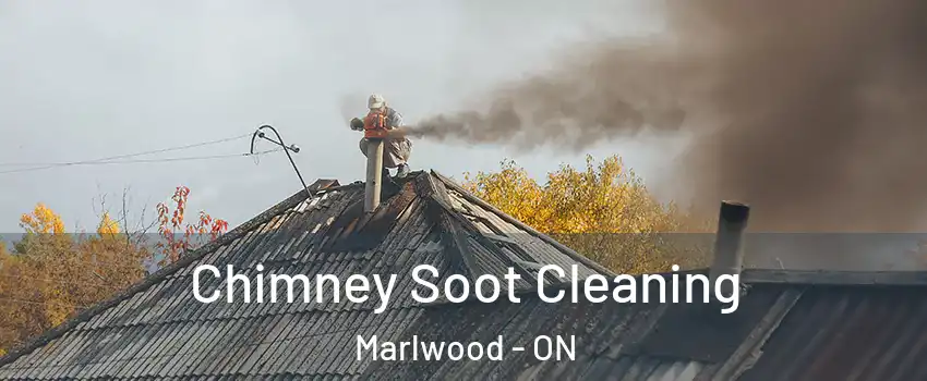  Chimney Soot Cleaning Marlwood - ON