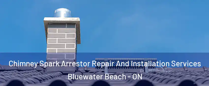  Chimney Spark Arrestor Repair And Installation Services Bluewater Beach - ON
